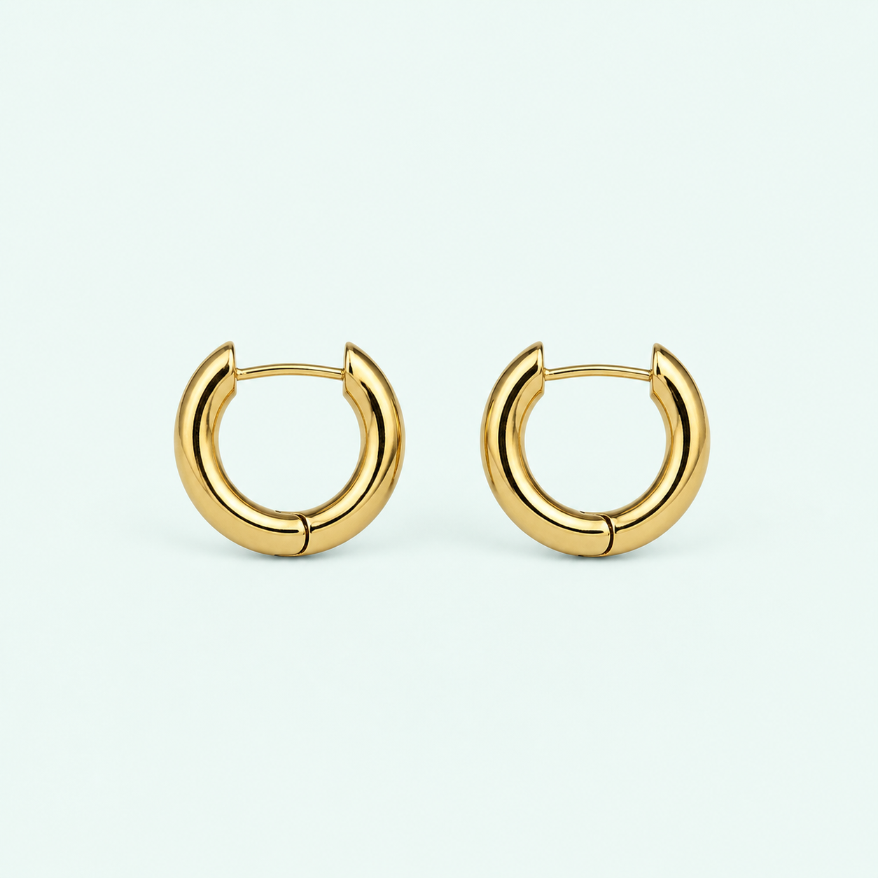 Classic Hoop Earrings - BisuTrendy